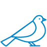 bird icon