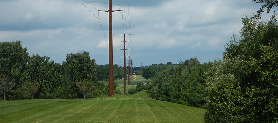 Workers in field near transmission lines