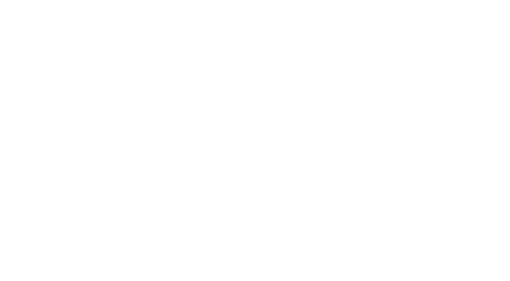 PPL Electric Logo