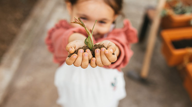 small girl holding tree sapling