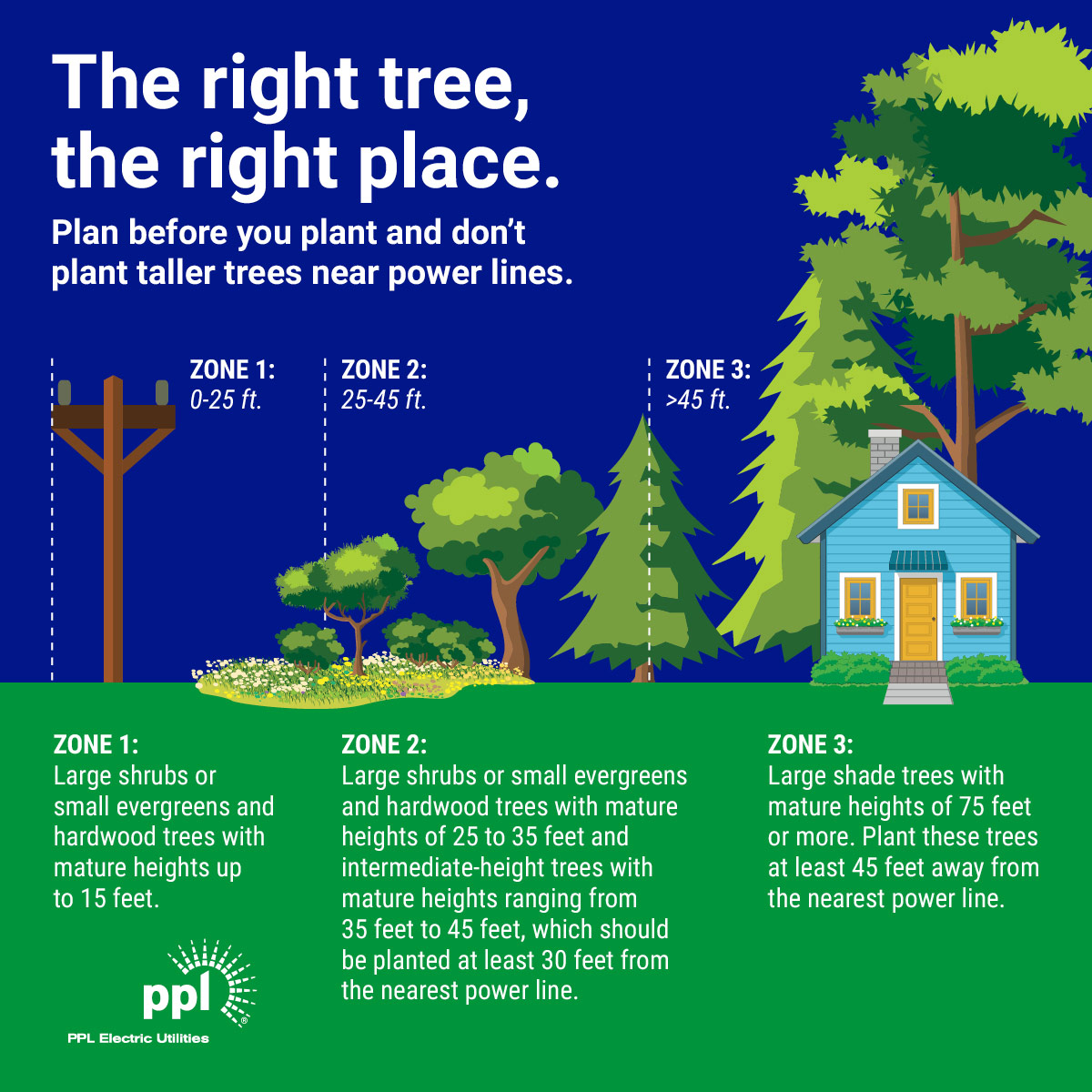 the right tree the right place