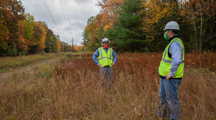 two men standing in a field inspecting trees that will be trimmed
