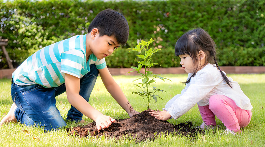 small children planting a tree